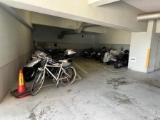 &nbsp;�@���̑����L����